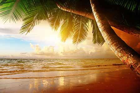 Peaceful tropical beach scene — serene nature imagery from Positive Living in Sin City